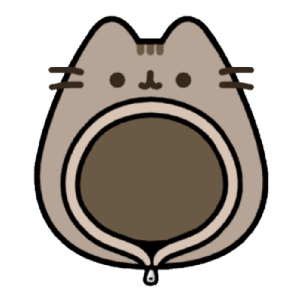 Pusheen hoodie gift
