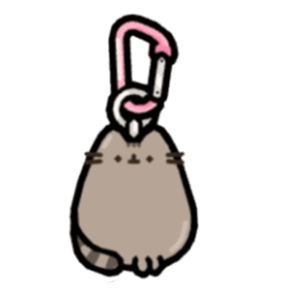 Pusheen keychain gift