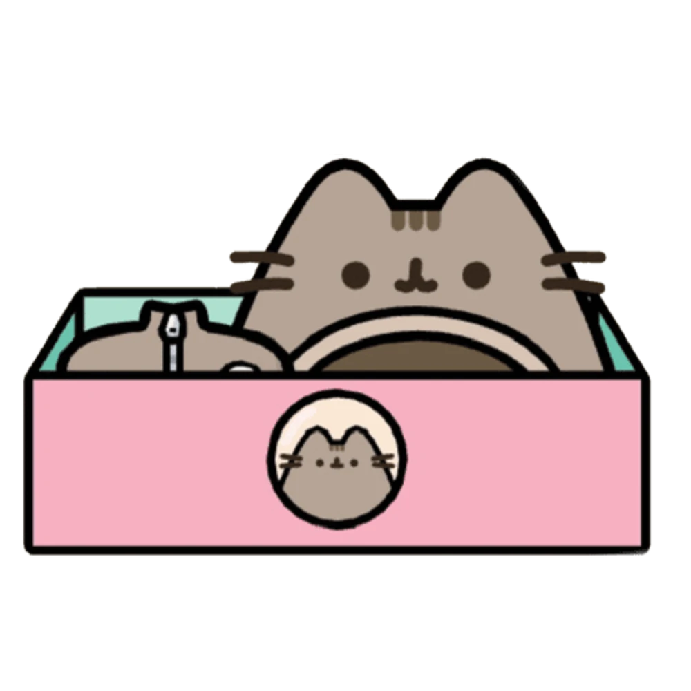 Pusheen sleepwear set gift