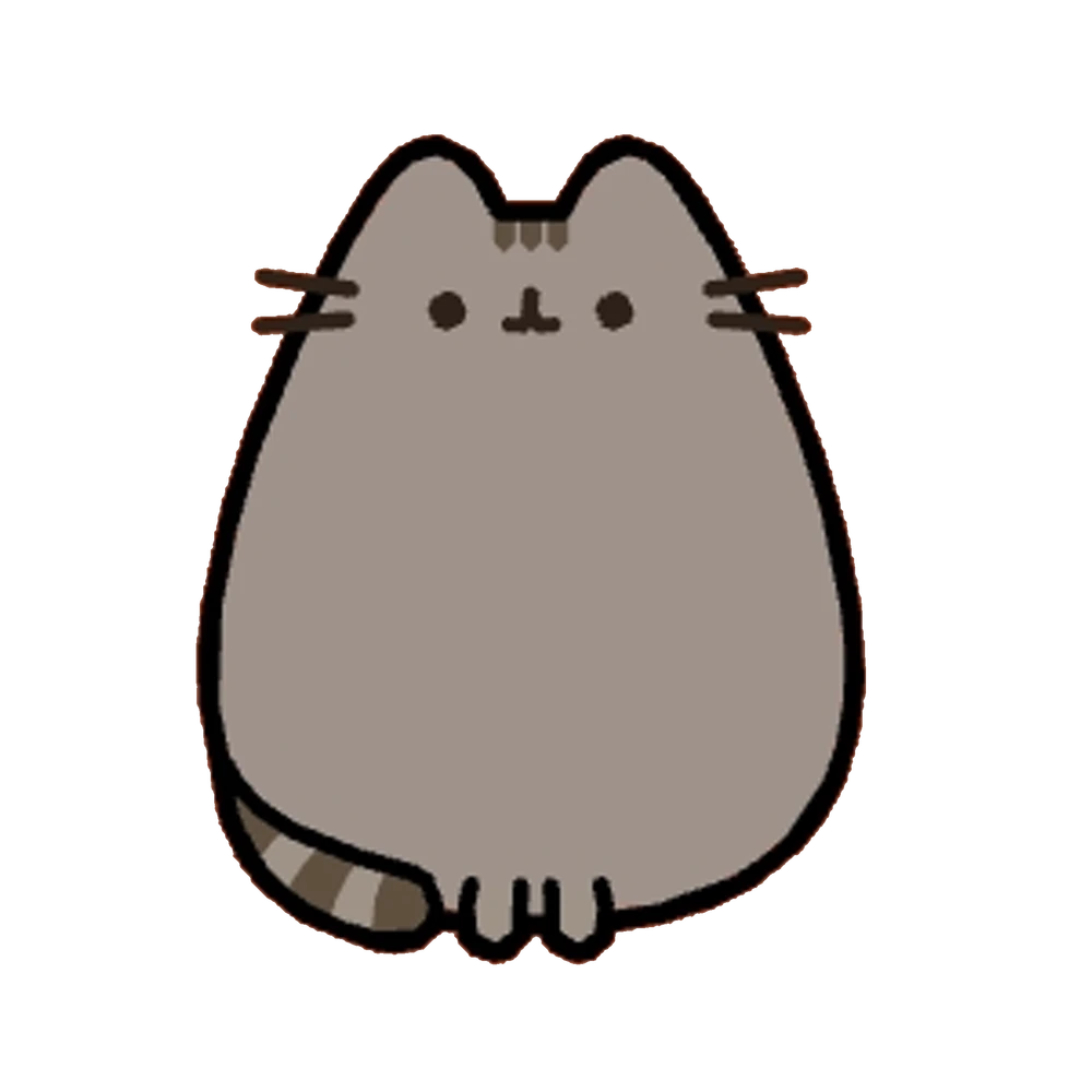 Pusheen plushie gift